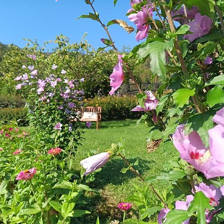 Apartamentos Calm & Nature - Adults Only Cabezón de Liébana Dış mekan fotoğraf