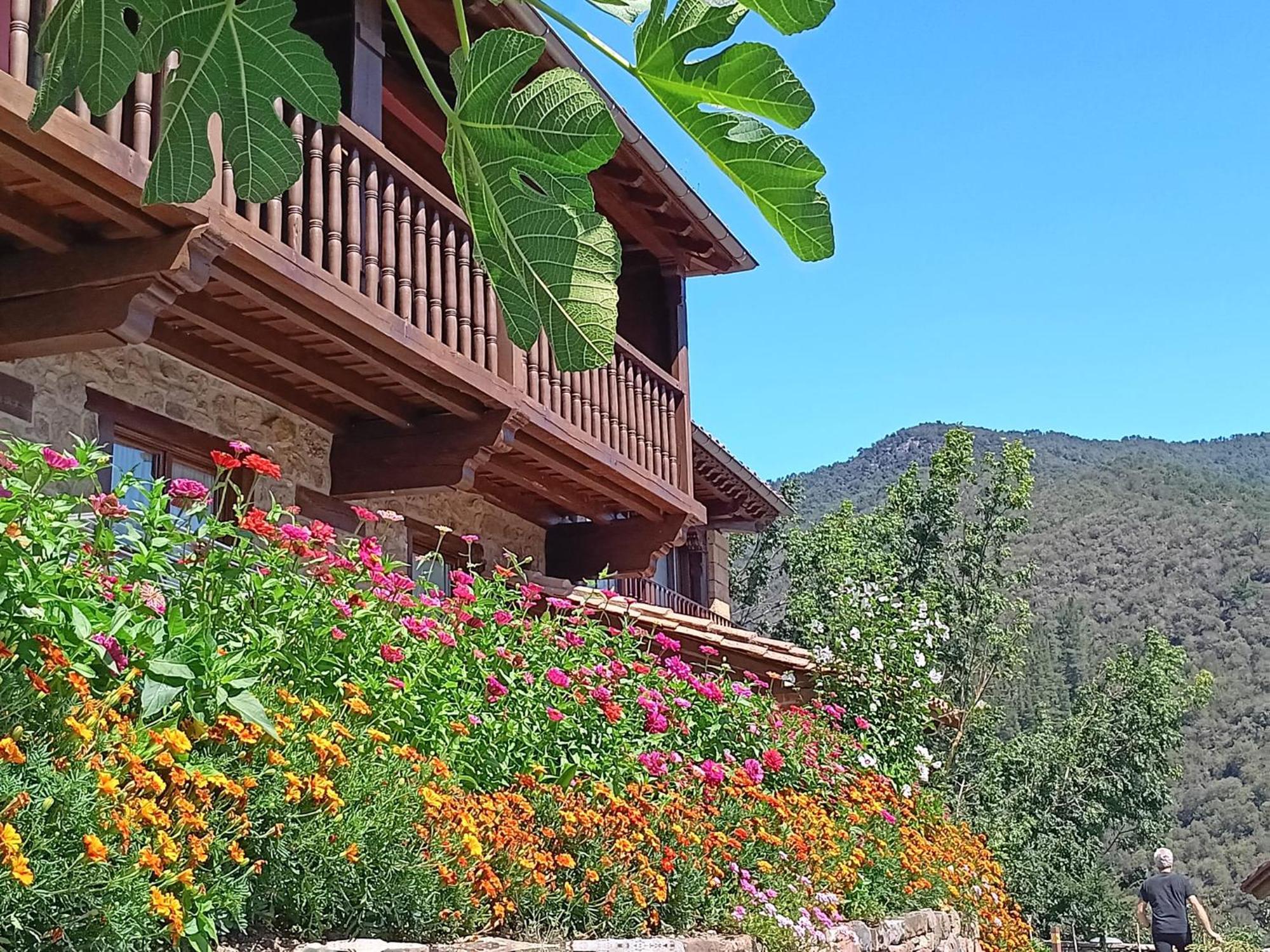 Apartamentos Calm & Nature - Adults Only Cabezón de Liébana Dış mekan fotoğraf