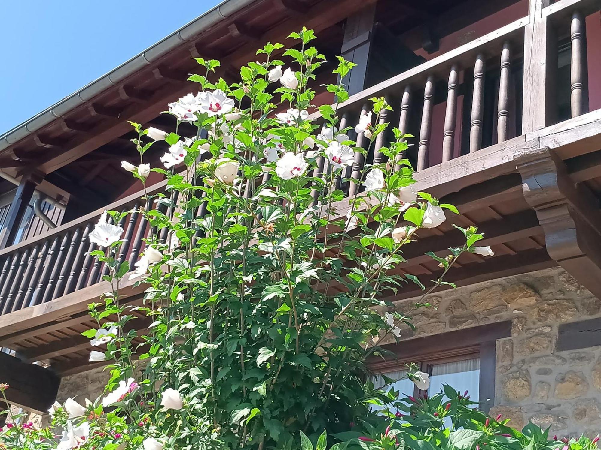 Apartamentos Calm & Nature - Adults Only Cabezón de Liébana Dış mekan fotoğraf