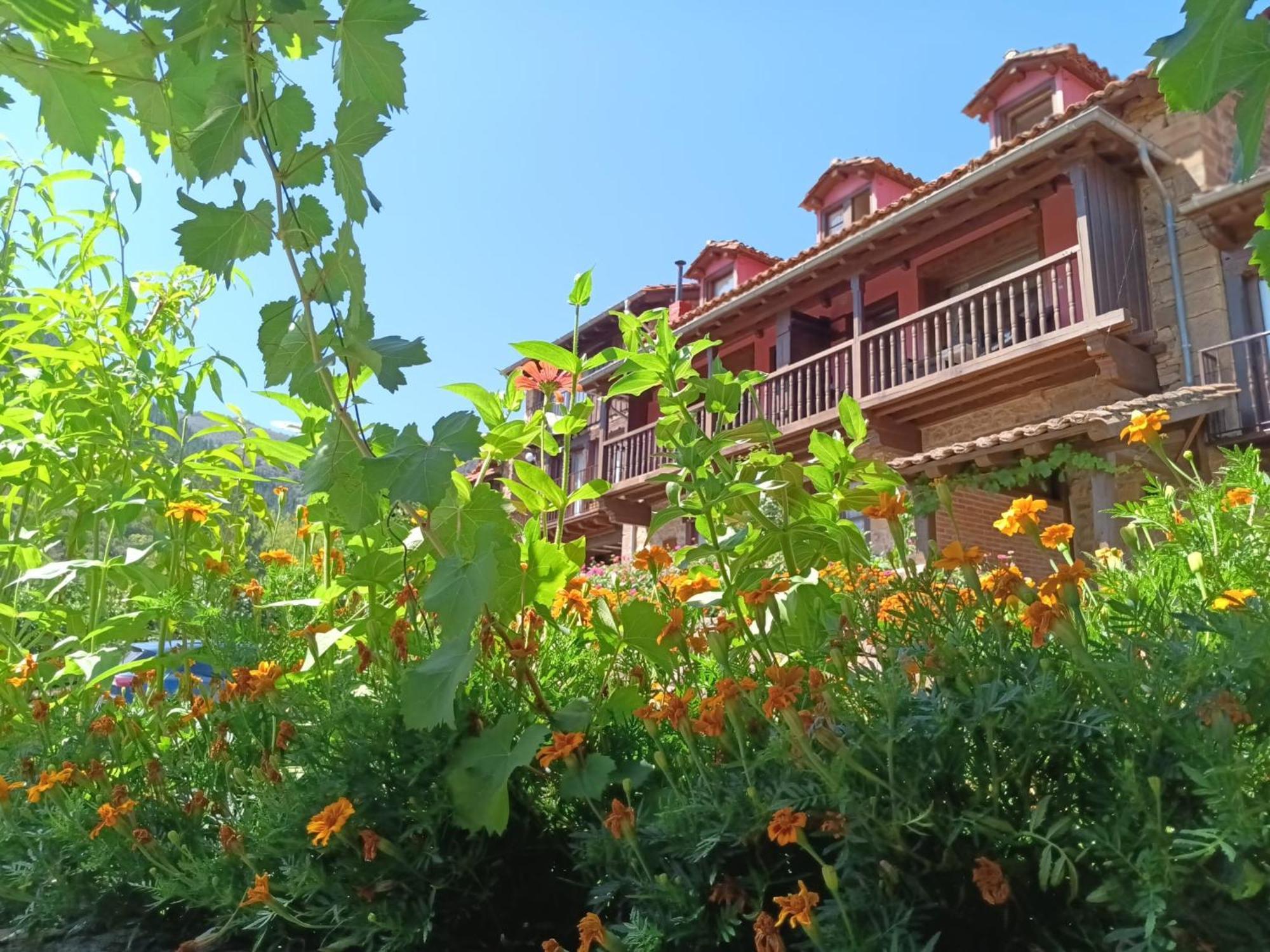 Apartamentos Calm & Nature - Adults Only Cabezón de Liébana Dış mekan fotoğraf
