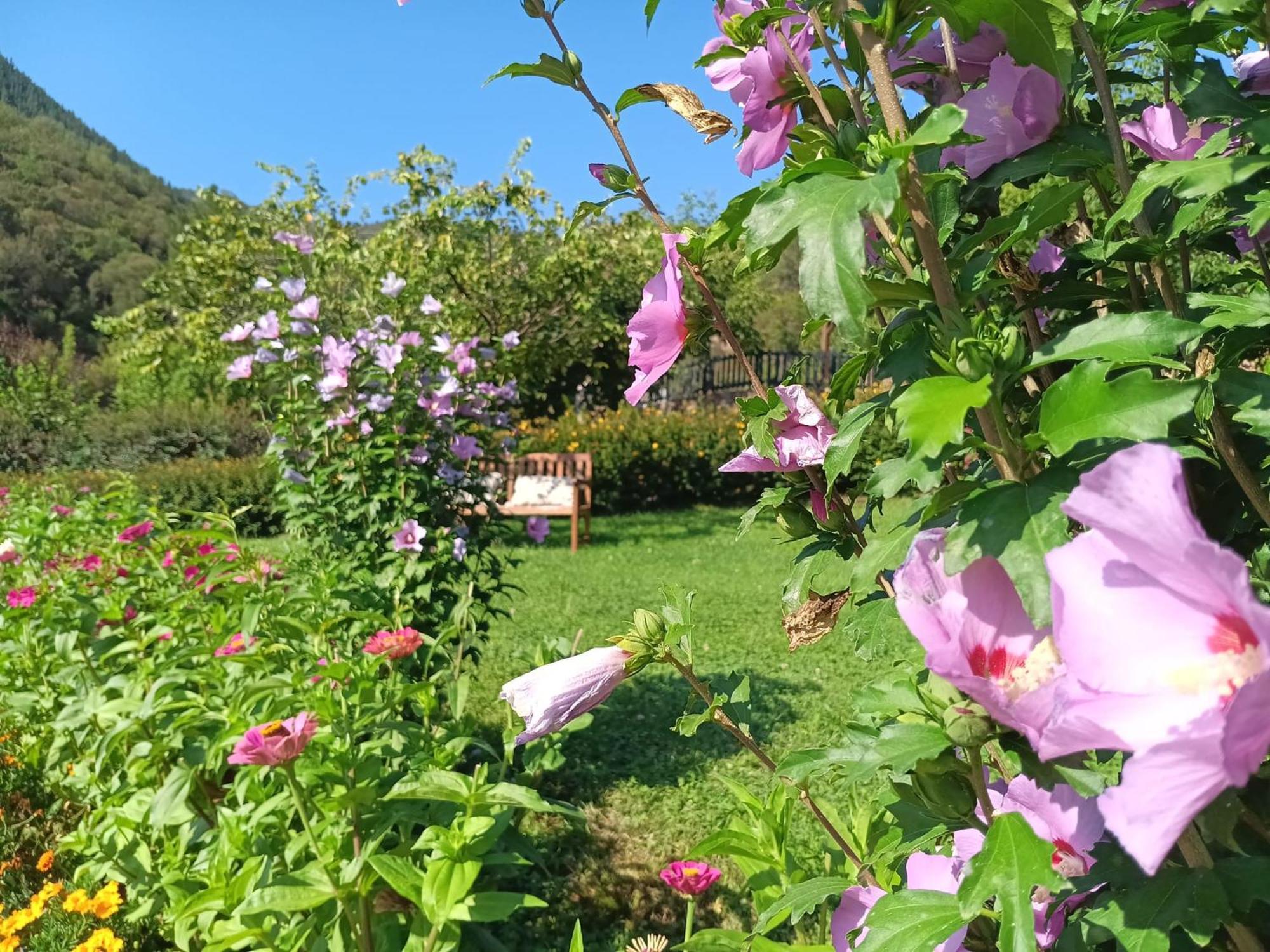 Apartamentos Calm & Nature - Adults Only Cabezón de Liébana Dış mekan fotoğraf