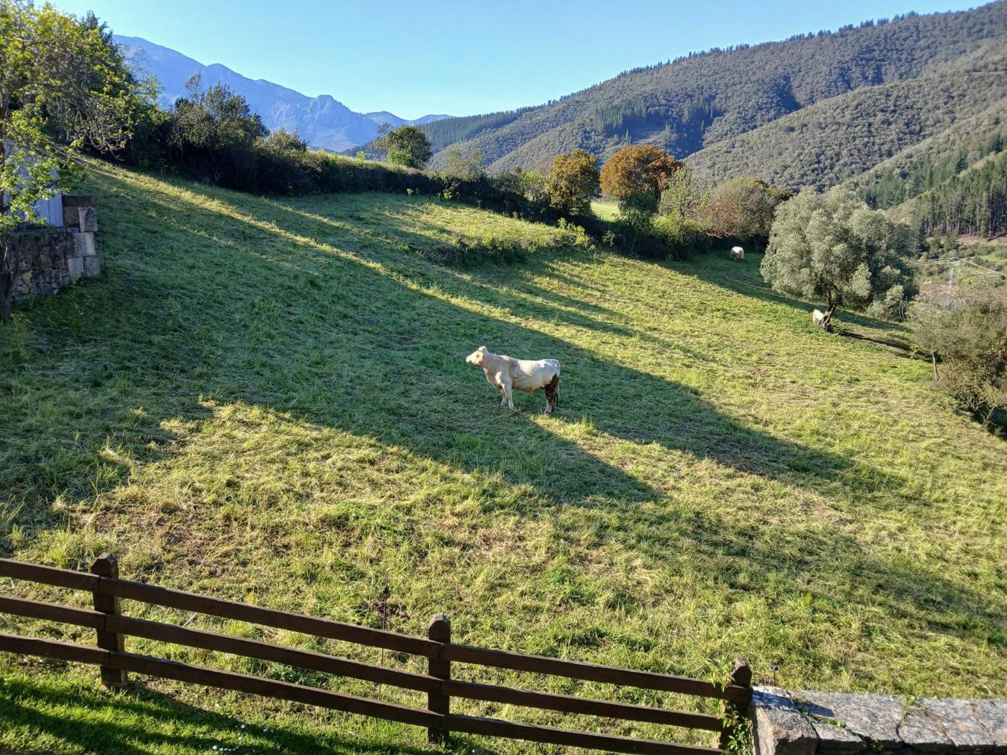 Apartamentos Calm & Nature - Adults Only Cabezón de Liébana Dış mekan fotoğraf